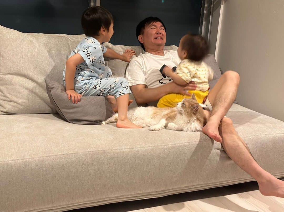 のインスタグラム：「🙋‍♀️ 新しいソファが届いたので、やまうちに 「おしゃれな写真撮って🌝🤳」 と言われて挑戦しましたが、叶わなかったです🐈👶👦  #actus  #やまうちたち」