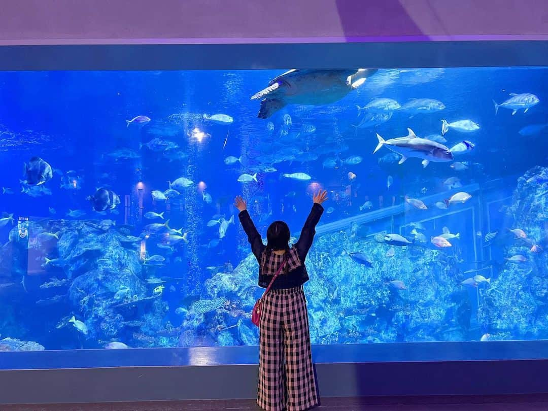 嶋梨夏さんのインスタグラム写真 - (嶋梨夏Instagram)「大きな水槽を独り占め出来た瞬間🥺✨✨ . . . . . #被写体 #お仕事依頼受付中 #おでかけ #三重県 #伊勢 #鳥羽 #鳥羽水族館 #水族館 #水族館デート #みつあみ #彼女感 #えくぼ #アラサー女子 #平成元年生まれ #150cm #ファインダー越しの私の世界 #ポートレート #ポートレート撮影 #女優 #actress #photooftheday #JAPAN #japanesegirl #instagood #followme #ricashima #嶋梨夏」6月11日 22時58分 - shimarica_jp