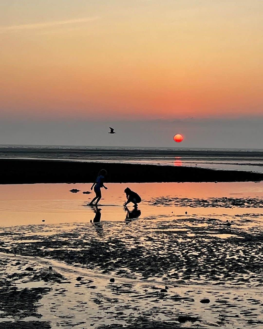 パク・ソヨンさんのインスタグラム写真 - (パク・ソヨンInstagram)「노을은 역시 서해.. ✨🧡 핑크보라에서 점점 짙어지다가 노랑주황이 되고, 마지막엔 활활 불타오를거 같이 붉은 빛으로 지는 다채로운 노을🥹💯🌅 아름답다는 말로도 부족하다.  뭉클하면서 벅찬느낌 오길 잘했다 그리고 나 사진 왜케 잘 찍었눙.. 그쵸 ㅋㅋ 어쩜 갈매기 담은 노을샷 대박이다>_<!」6月12日 10時49分 - ssovely1024