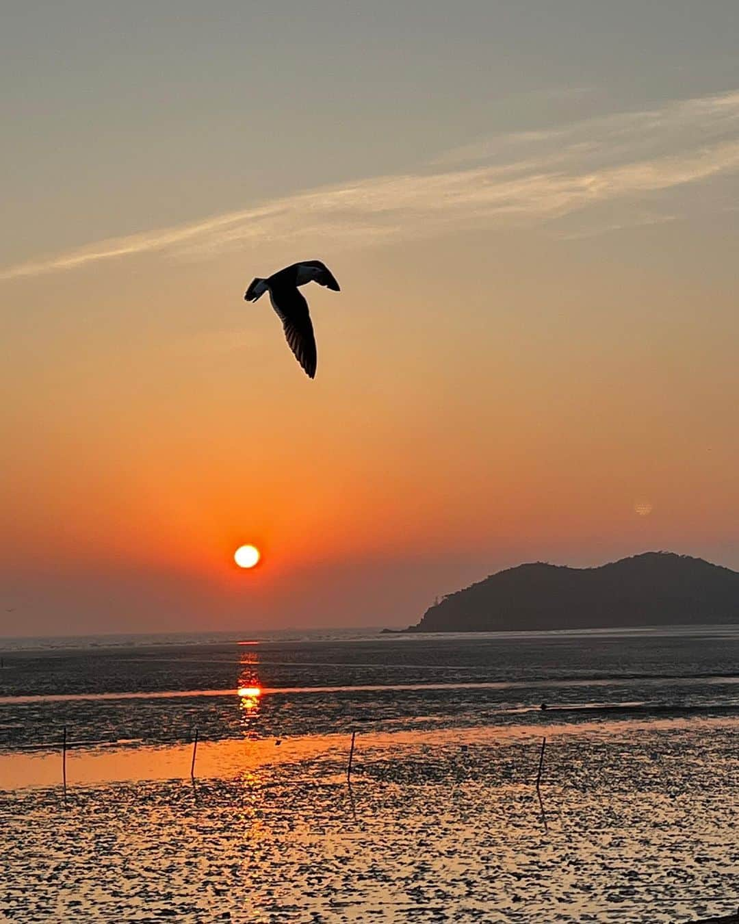 パク・ソヨンさんのインスタグラム写真 - (パク・ソヨンInstagram)「노을은 역시 서해.. ✨🧡 핑크보라에서 점점 짙어지다가 노랑주황이 되고, 마지막엔 활활 불타오를거 같이 붉은 빛으로 지는 다채로운 노을🥹💯🌅 아름답다는 말로도 부족하다.  뭉클하면서 벅찬느낌 오길 잘했다 그리고 나 사진 왜케 잘 찍었눙.. 그쵸 ㅋㅋ 어쩜 갈매기 담은 노을샷 대박이다>_<!」6月12日 10時49分 - ssovely1024