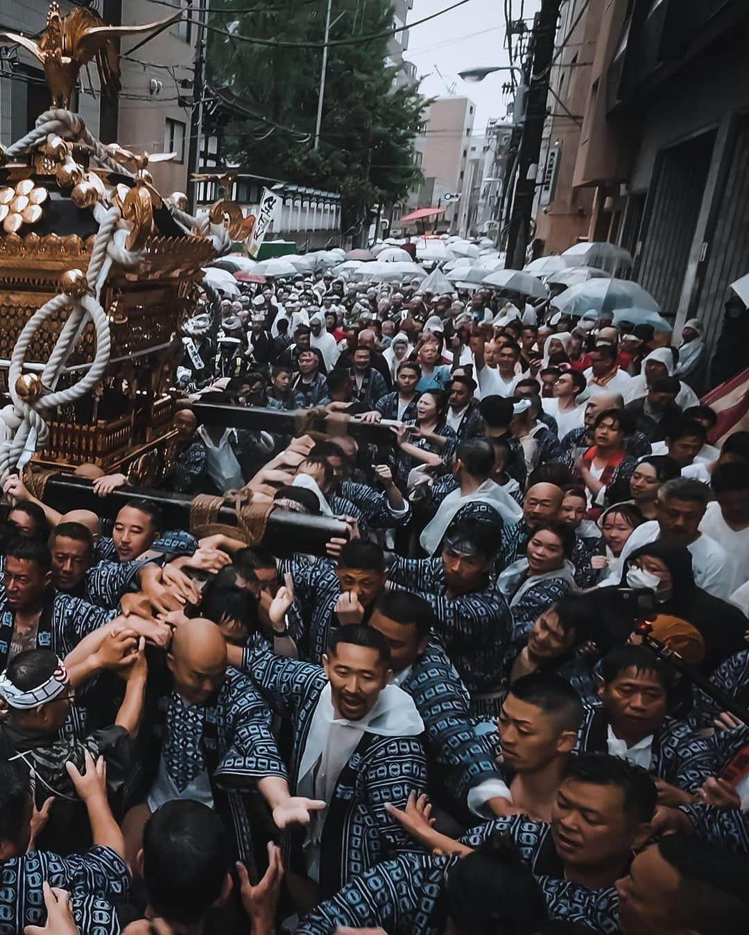 田村幸士さんのインスタグラム写真 - (田村幸士Instagram)「. 鳥越祭が帰ってきた。 他の祭では感じられない熱量。 ボンバーマンの爆風のように、千貫神輿から放たれたエネルギーが狭い路地を縦横無尽に広がっていく。 . . . . . . . . —— ✂︎ —————— #鳥越祭 #鳥越祭2023 #鳥越神社 #祭 #日本の風景 #神輿渡御 #神輿 #千貫神輿 #美しい日本 #御神輿 #お神輿 #蔵前 #photo_jpn #discovertokyo #wu_japan #jp_gallery #tokyocameraclub #lovers_nippon #nihonshooters #kimono #japan_vacations #best_tokyo_photos #unknownjapan #japanfeatured #japanesefestival #japanfestival #festival #japanesetraditional #japaneseculture #japanesestyle」6月12日 11時57分 - kojimg