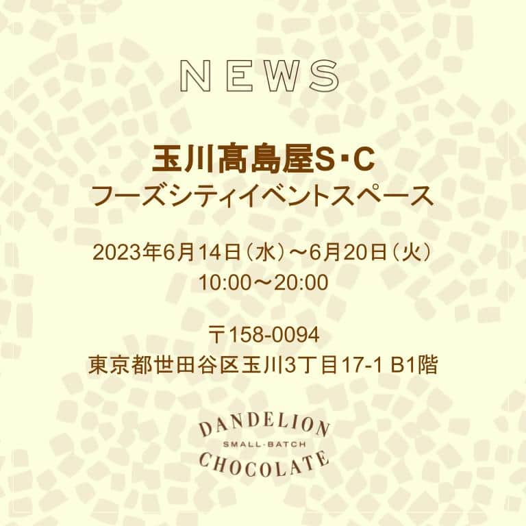 ダンデライオン・チョコレート・ジャパンのインスタグラム