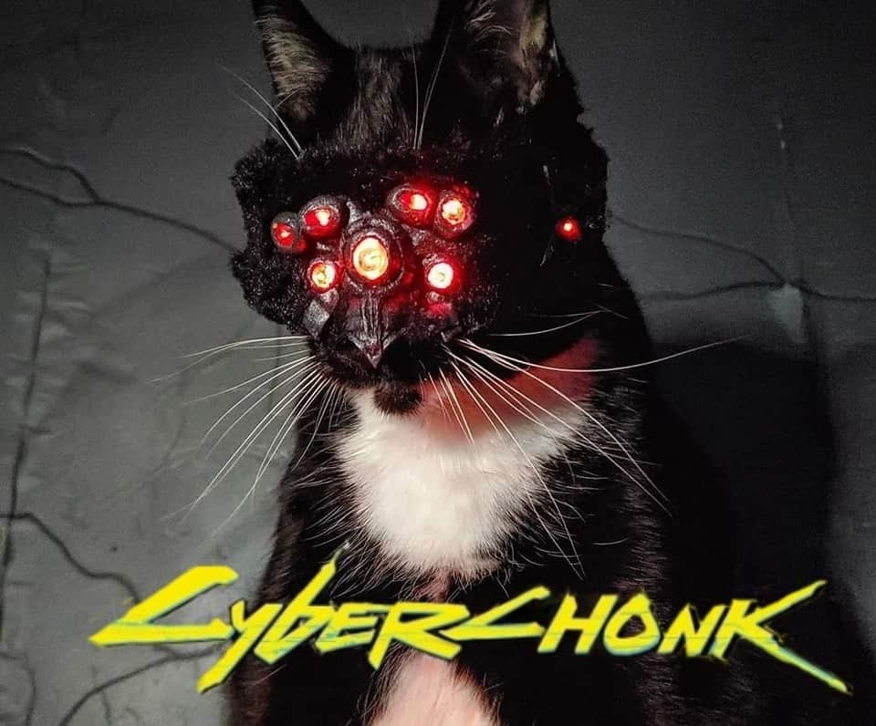 猫コスプレさんのインスタグラム写真 - (猫コスプレInstagram)「Never forget extra treats when dealing with the Meowlstrom Gang.  #Cyberpunk2077 #cyberpunk #maelstrom  . . . . . . #catcosplay #cosplay #cosplayer #cat #catcostume #catsinclothes #petclothes #PetCostume #petarmor #cyberpunkcosplay #cyberpunk2077cosplay #maelstromcosplay #cyberpunkmemes」6月12日 3時40分 - cat_cosplay