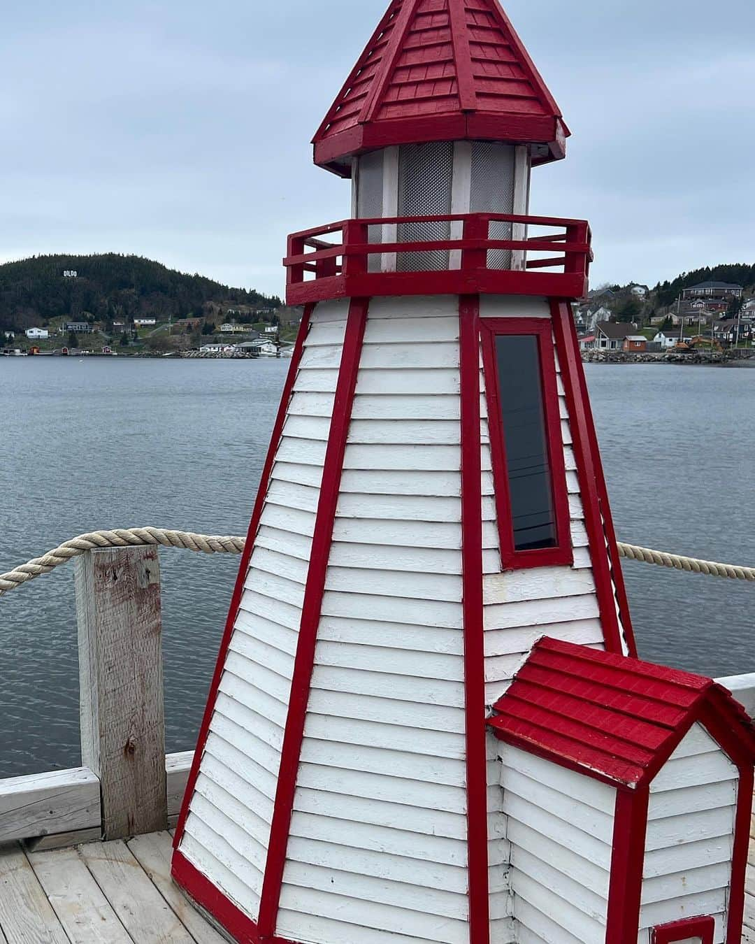 ローラ・ヴァンダーヴォートさんのインスタグラム写真 - (ローラ・ヴァンダーヴォートInstagram)「I love my job! That’s a wrap on ‘Frances’ and Newfoundland (for now..) Crossing the finish line as a redhead 😂   The nicest cast/crew and overall people. Thank you for your hospitality.」6月12日 3時41分 - lauravandervoort