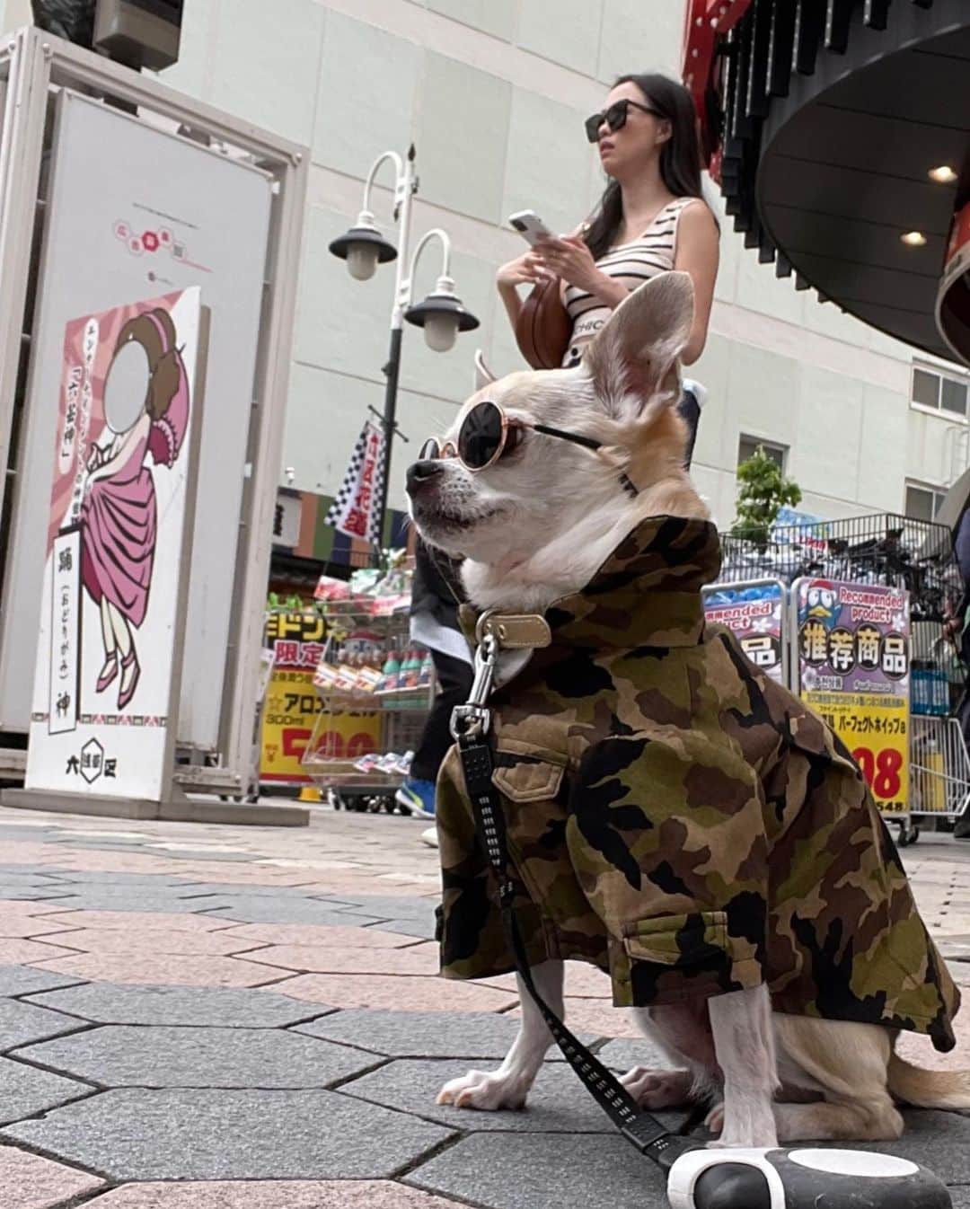 紋次郎のインスタグラム