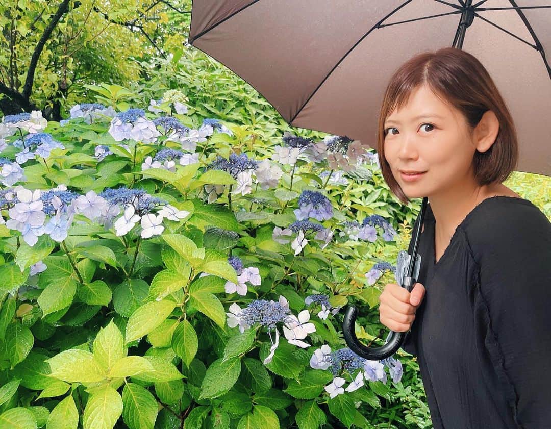 絢香さんのインスタグラム写真 - (絢香Instagram)「おはよ☔️ 紫陽花が綺麗な季節 ジメジメ湿度だけど喉には良い👌🏻  昨日はツアー衣装を選びに スタイリストと買い物行ってきた✨ いよいよ始まるねーー！！  アルバムリリースも ツアースタートも あと少し！✊🏻  #Funtale #Tour」6月12日 8時08分 - ayaka_official_jp