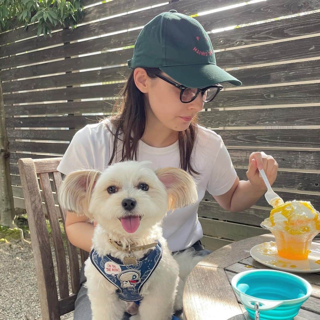 Shinjyu Lou Reid/リード真珠のインスタグラム：「Visiting Nara with your dog was not easy but it was worth it 🥰 Thank you for inviting me little sis❤️❤️」