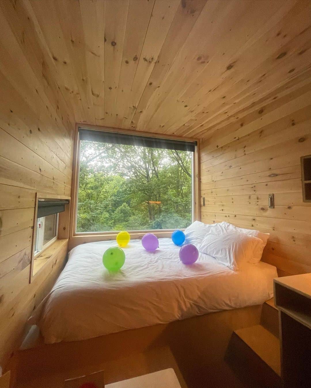 Eva Adamsのインスタグラム：「the one where Zoolander goes glamping !」