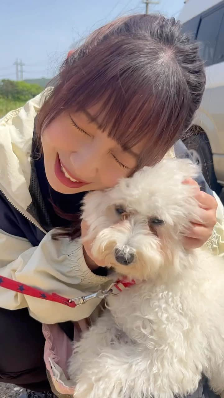 高柳明音のインスタグラム：「🐩  いっっっっっぬ と沖縄の思い出リール #沖縄　#石垣島　#犬」