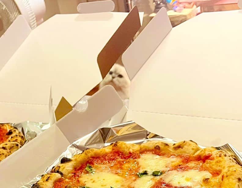 シオマリアッチさんのインスタグラム写真 - (シオマリアッチInstagram)「ピッツァだーー!🍕✨  #pizzaborsa #猫のいる暮らし」6月12日 20時07分 - shiomariacchi