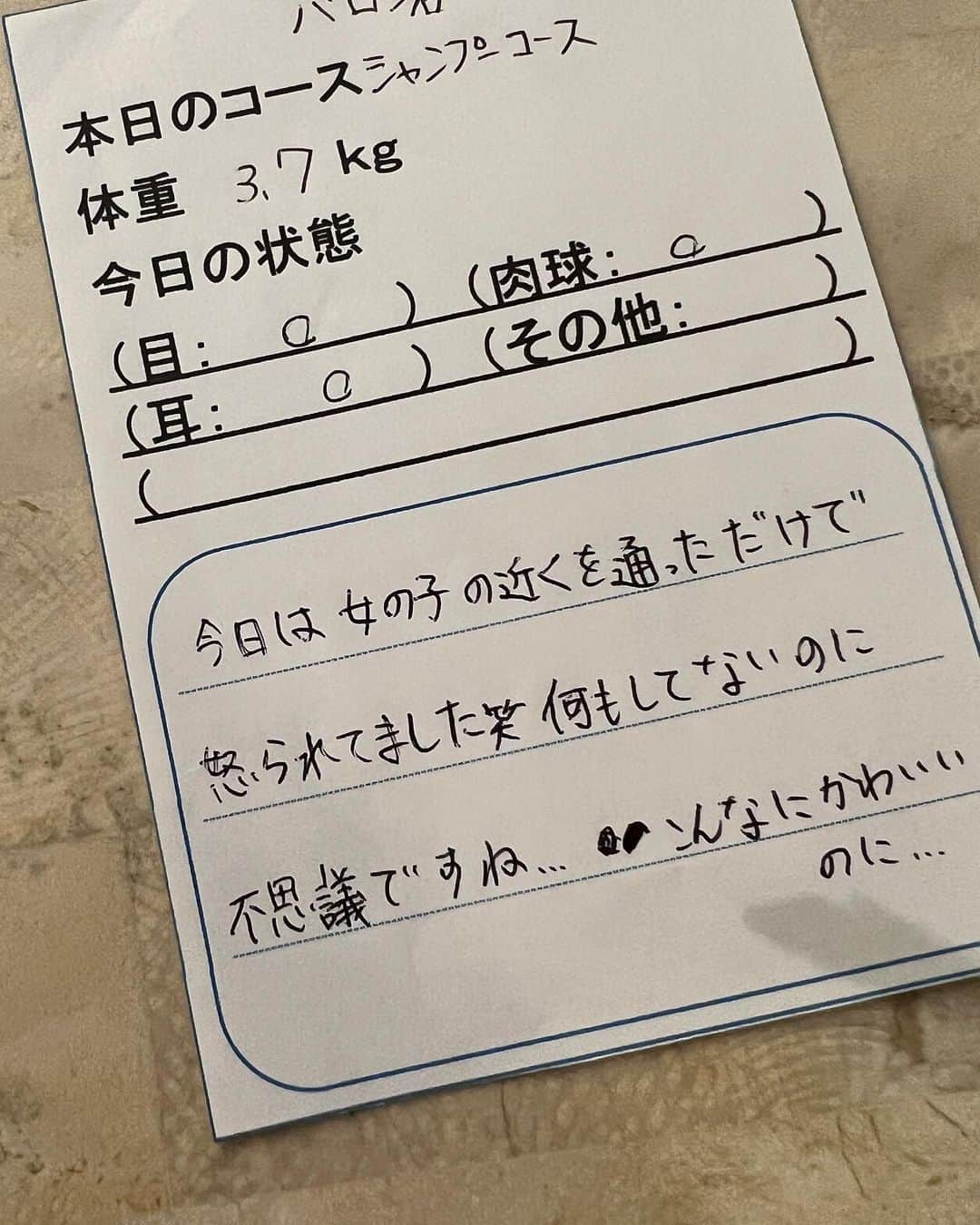 宇野樹さんのインスタグラム写真 - (宇野樹Instagram)「バロンはバロンでした #がんばれ #本当に不思議だよ」6月12日 20時17分 - ituki_uno