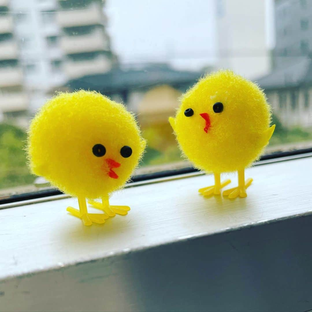 池田彩のインスタグラム：「人生初クレーンゲームの戦利品👶✊✨  🐥🐥🐥🐥  #ひよこ #get #戦利品  #1回10円ってこのご時世優しすぎ #全部で4匹 #2歳児ママ #子供のいる暮らし」