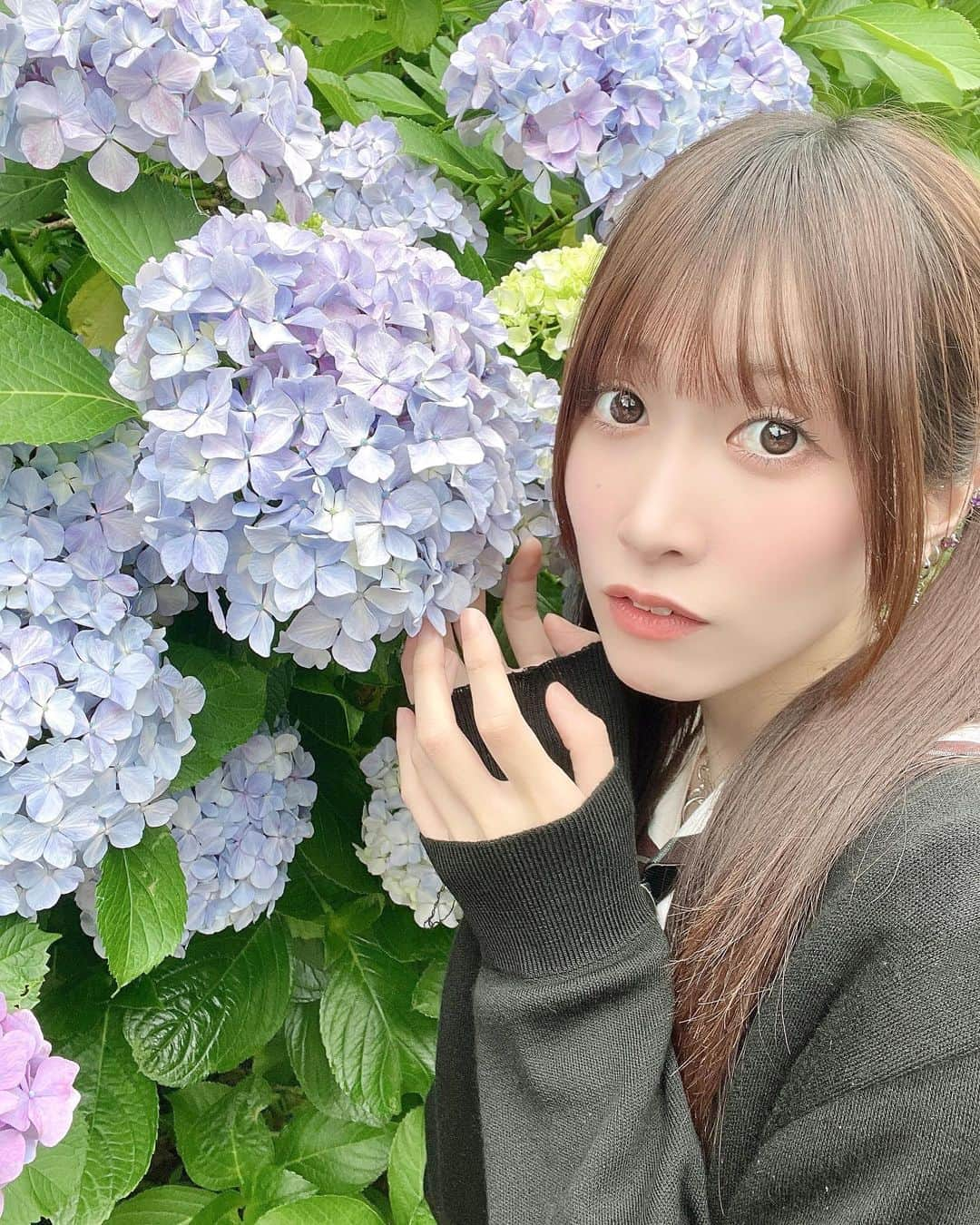 小鳥遊七星のインスタグラム：「紫陽花が綺麗だったよ💭  しかも おっきかった💓」