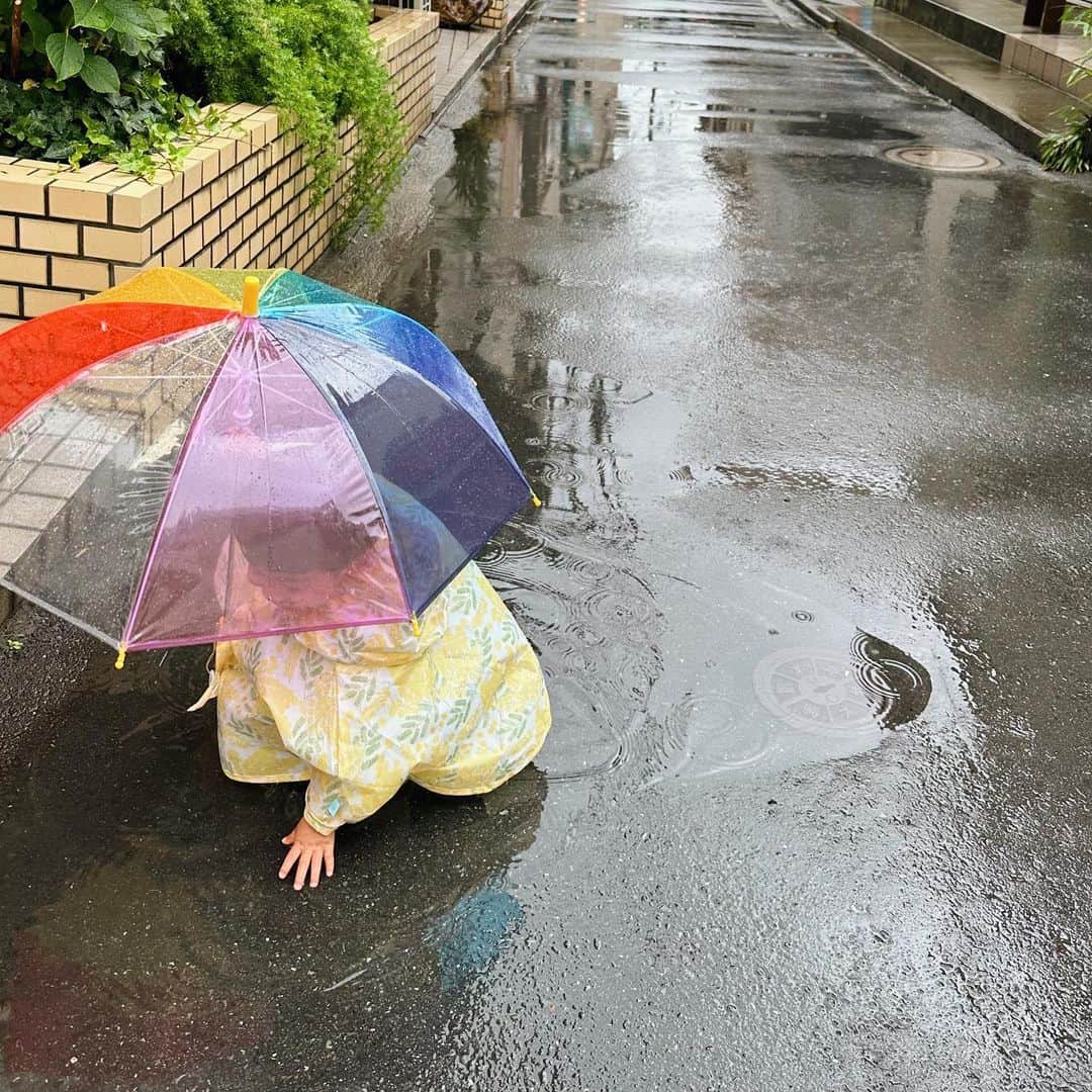 ちょびさんのインスタグラム写真 - (ちょびInstagram)「ずっと欲しいと言っていた虹色の傘🌈 『つむくんもそろそろ傘買おうね！どんな傘がいいかなぁ？』と話していた時に 『色んな色のにじいろの！！🌈』と答えていたので探して探してこの傘を🤍👦🏻 透明なので前もちゃんと見えて安心👌🏻🤍これから雨の日も安心だね🤍 成長成長🫶🏻  #すべてわたしの愛しい記憶」6月12日 20時36分 - kaoriririn15