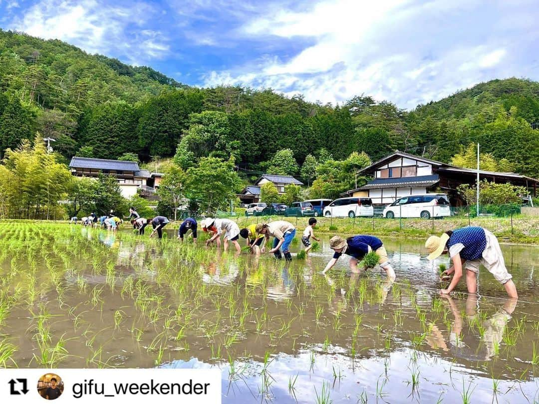 Gero City【下呂市公式アカウント】さんのインスタグラム写真 - (Gero City【下呂市公式アカウント】Instagram)「#Repost @gifu_weekender with @use.repost ・・・ 週末岐阜県民　〜田植え@下呂〜  地元のゲストハウス・ソラノイエにおじゃまして 田植えのお手伝いをしてきました！ みんなで泥だらけになりながら 楽しい1日を過ごしました！  秋にはおいしいお米が育ちますように🌾  #下呂 #下呂温泉 #下呂市 #飛騨 #飛騨のたばる箱 #gero #gerostagram #hida #hidatrip #田植え #ソラノイエ #岐阜　 #岐阜県 #岐阜観光 #岐阜カメラ部 #岐阜県インスタ部 #東海カメラ倶楽部 #写真好きな人と繋がりたい #gifu #gifuphoto #gogifu #gifuebooks #gifutrip #岐阜県全市町村制覇の旅 #週末岐阜県民」6月12日 20時53分 - gerostagram