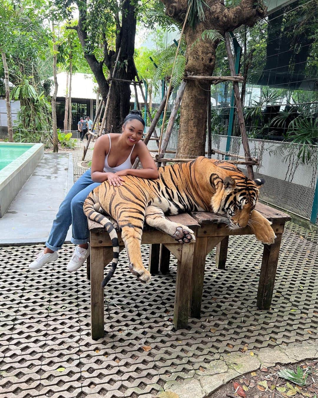 オコエ桃仁花のインスタグラム：「Thailand memory🇹🇭  トラと撮ってんのに満面の笑み。命の危機感なさすぎて、本物のトラ？って感じだけど本物です😂  怖い通り過ぎて、可愛かった(怖くないじゃんw)  今写真を見返すと、どうしてこんな笑顔で撮れるのか自分に問いたい。 友達のように撮ってんの面白いw アドレナリンってすげっっっ😂 #もう一年前のこと  #インスタ更新しなさすぎ問題」