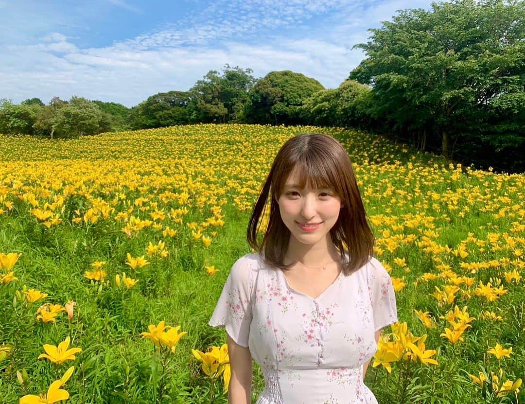 白木愛奈のインスタグラム：「静岡に来てから、 またお天気コーナーを担当してから 旬の食材、季節の花をとても意識するようになりました😊  去年、中継でお邪魔して大好きになった場所 #可睡ゆりの園 に今年も行ってきました💐 梅雨の中休みでいいお天気☀️  今年は土曜版でも取り上げられていましたね！  どこまでも続く黄色いゆりのじゅうたん。サッカーコートより広いんですよ！(*^^*)  こんなに綺麗なゆり園を毎年保ってくださっている園の皆さんに感謝です。  夢中で写真を撮りました📸 皆さんもぜひ✨  #袋井観光 #ゆり園 #静岡花めぐり #花めぐり」