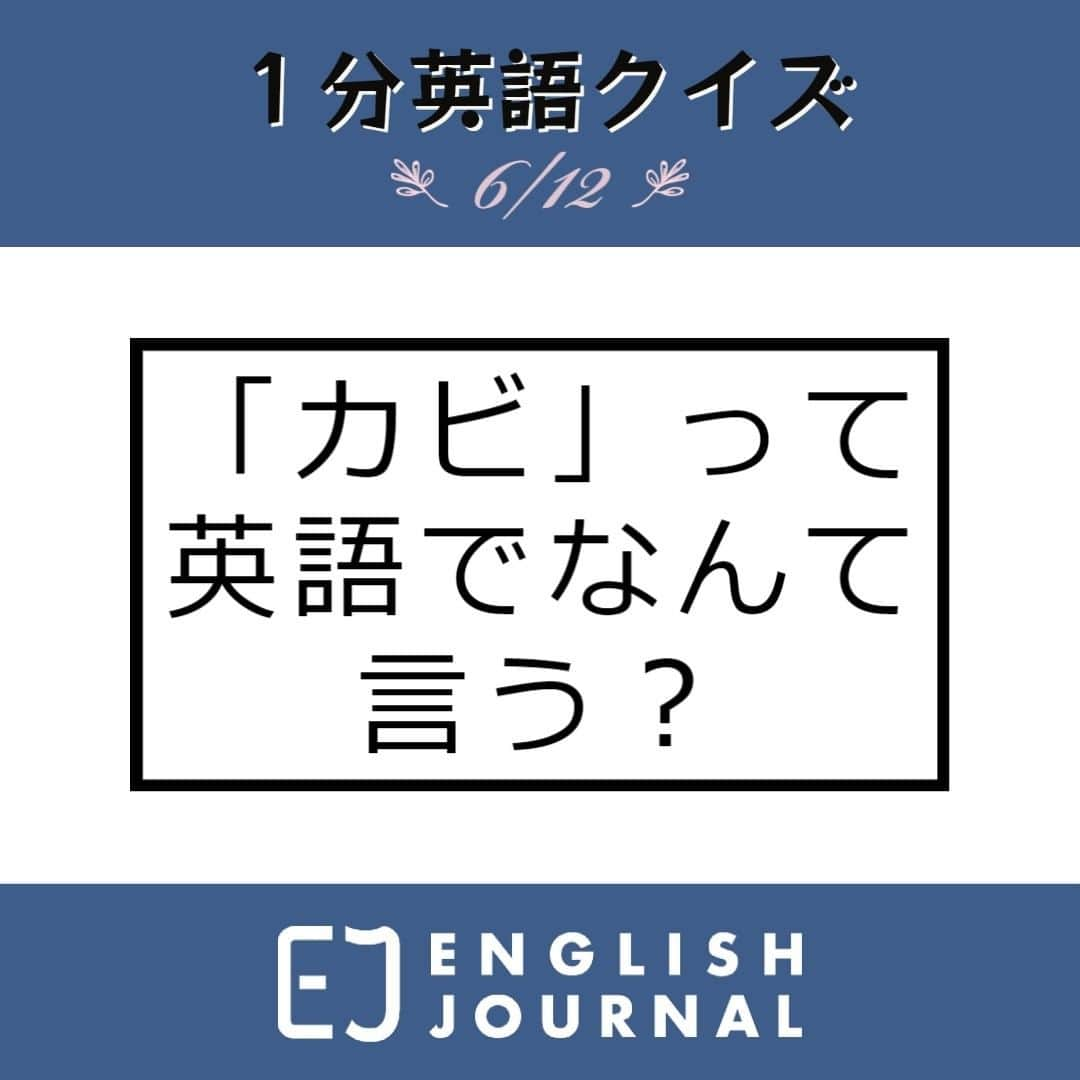 GOTCHA! 英語を楽しく勉強しようのインスタグラム：「「カビ」を英語で表現するには、moldやmildewという単語が使えます。この二つの単語の微妙なニュアンスの違いを下で紹介しますが、一般的にはあまり厳密に使い分けられていないようです。  mold（カビ） 「カビ」の一般的な表現で、多くの種類のカビを指します。黒色、緑色、茶色など、さまざまな色で現れることがあります。屋内や湿った場所で発生することが多く、壁や床、天井などに見られます。これを掃除するための「カビ取り剤」はmold removerと言います。  mildew（カビ） 柔らかくふわふわとしたカビで、白や灰色などの淡い色をしています。主に湿度の高い環境で見られ、浴室、シャワーカーテン、衣類などに発生することがよくあります。  その他、形容詞を使ってカビが生えたことやカビ臭いことを表現できます。  moldy（カビの生えた） moldの形容詞で、「カビの生えた」「カビた」を意味します。「カビが生える」はget moldyやgo moldyと表すことができます。  musty（カビ臭い） 「カビ臭い」を表す形容詞です。smell musty（カビ臭いにおいがする）、musty odor（カビ臭いにおい）のように使うことができます。また、転じて「古くさい」の意味でmusty idea（古くさい考え）などと使うこともあります。  ウェブサイトでは用例を多数紹介しています。ぜひご覧ください。  「ENGLISH JOURNAL カビ」で検索！  https://ej.alc.co.jp/entry/20230606-mold」