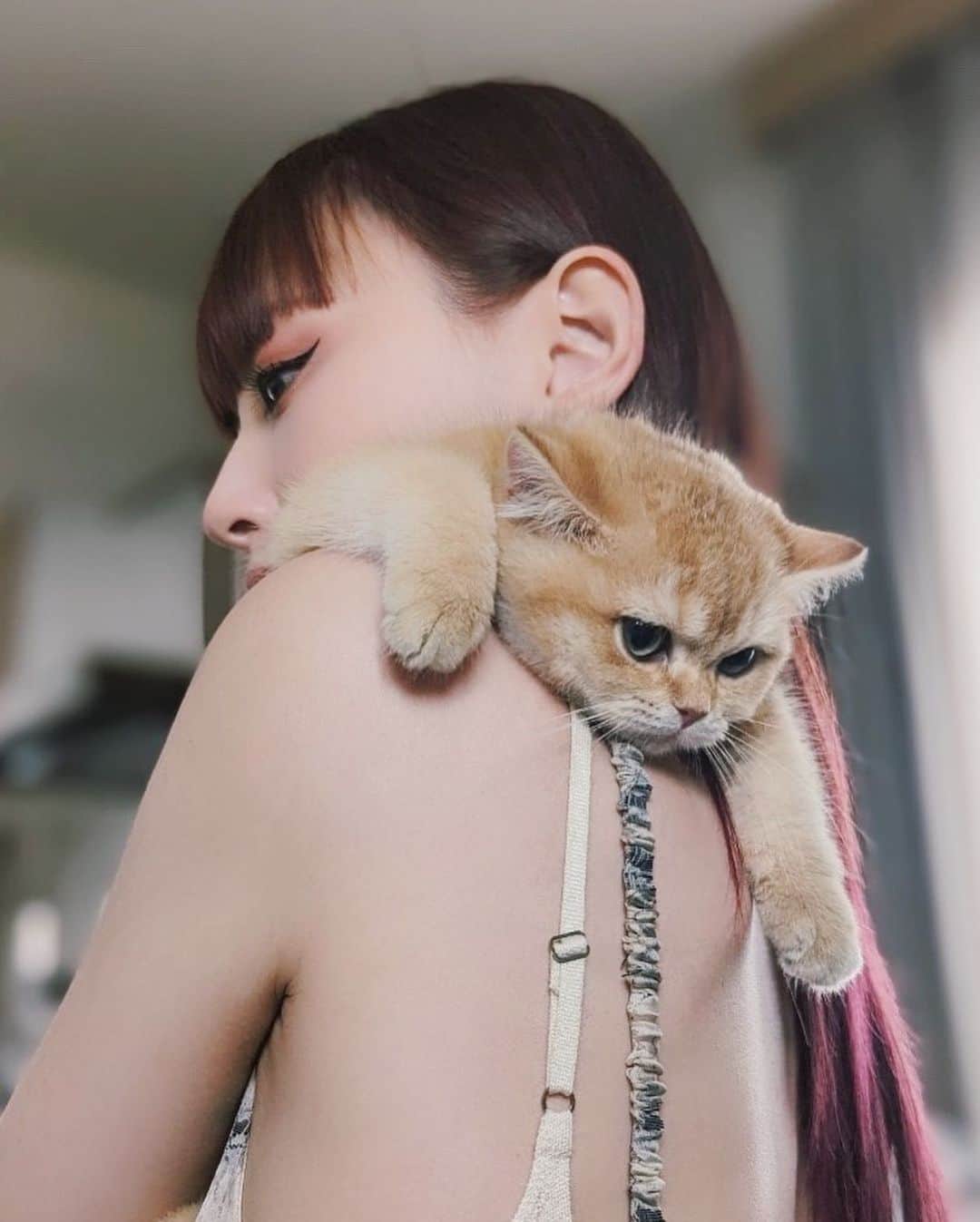 鈴木えみのインスタグラム：「#子猫に会いに行き隊 🐱💓 @0308macka の新入りルルちゃん。 ひたすらにかわいい猫の写真をどうぞ🤲🏻」