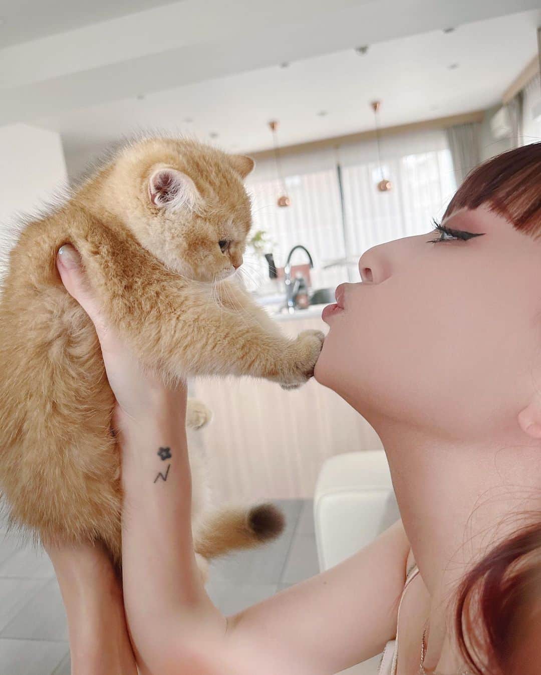 鈴木えみさんのインスタグラム写真 - (鈴木えみInstagram)「#子猫に会いに行き隊 🐱💓 @0308macka の新入りルルちゃん。 ひたすらにかわいい猫の写真をどうぞ🤲🏻」6月12日 13時59分 - emisuzuki_official