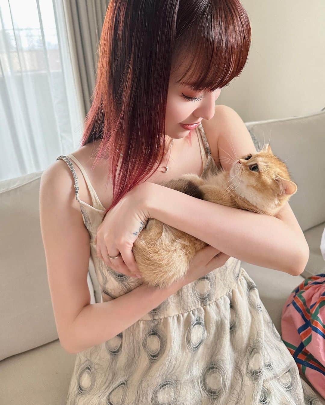 鈴木えみさんのインスタグラム写真 - (鈴木えみInstagram)「#子猫に会いに行き隊 🐱💓 @0308macka の新入りルルちゃん。 ひたすらにかわいい猫の写真をどうぞ🤲🏻」6月12日 13時59分 - emisuzuki_official