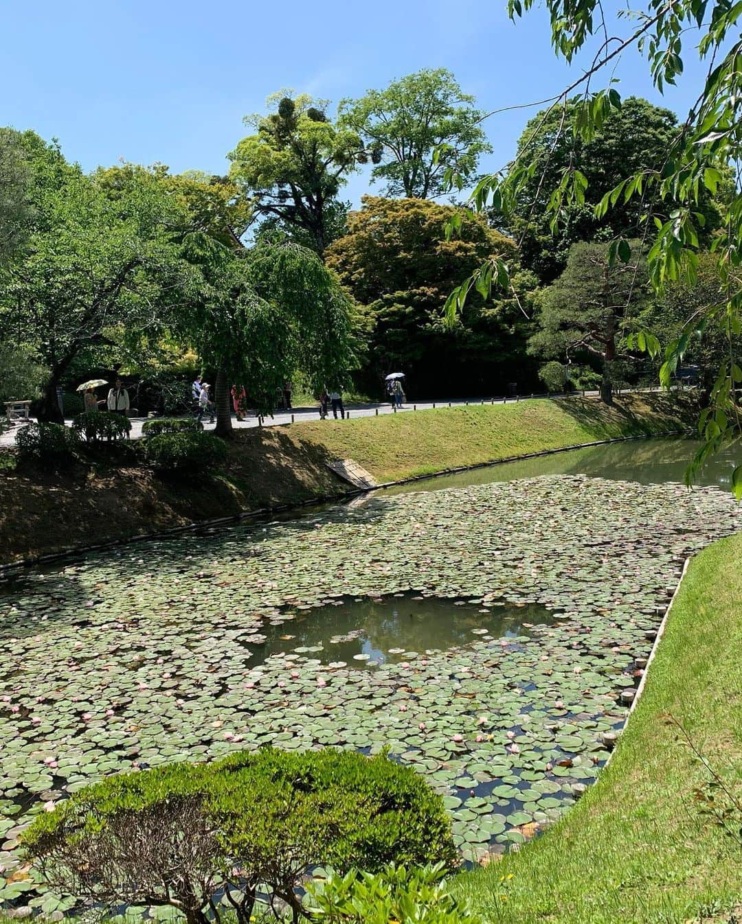 小川夏果さんのインスタグラム写真 - (小川夏果Instagram)「#京都 #着物でお出掛け #神社巡り 撮影で京都へ行きました。平等院鳳凰堂や伏見稲荷、神社仏閣... 一番好きな三十三間堂はまた今度。 I'm in the ancient capital of Kyoto, filming. Let's try kimonos on you guys‼︎」6月12日 14時25分 - ogawanachu