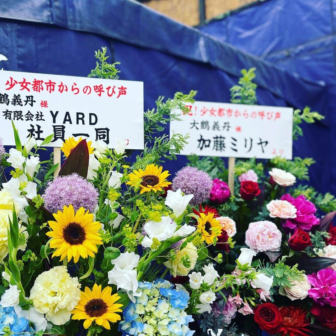 大鶴義丹さんのインスタグラム写真 - (大鶴義丹Instagram)「新宿花園神社⛩️紫テント劇場 芝居『少女都市からの呼び声』 お客様入場中、いよいよ２日目！  #少女都市からの呼び声 #新宿花園神社 #新宿梁山泊」6月12日 15時25分 - gitan.ohtsuru