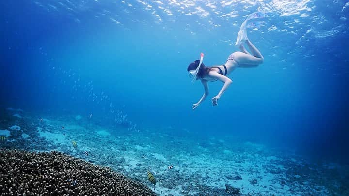 のインスタグラム：「ぴよーん  #宮古島 #miyakoisland」