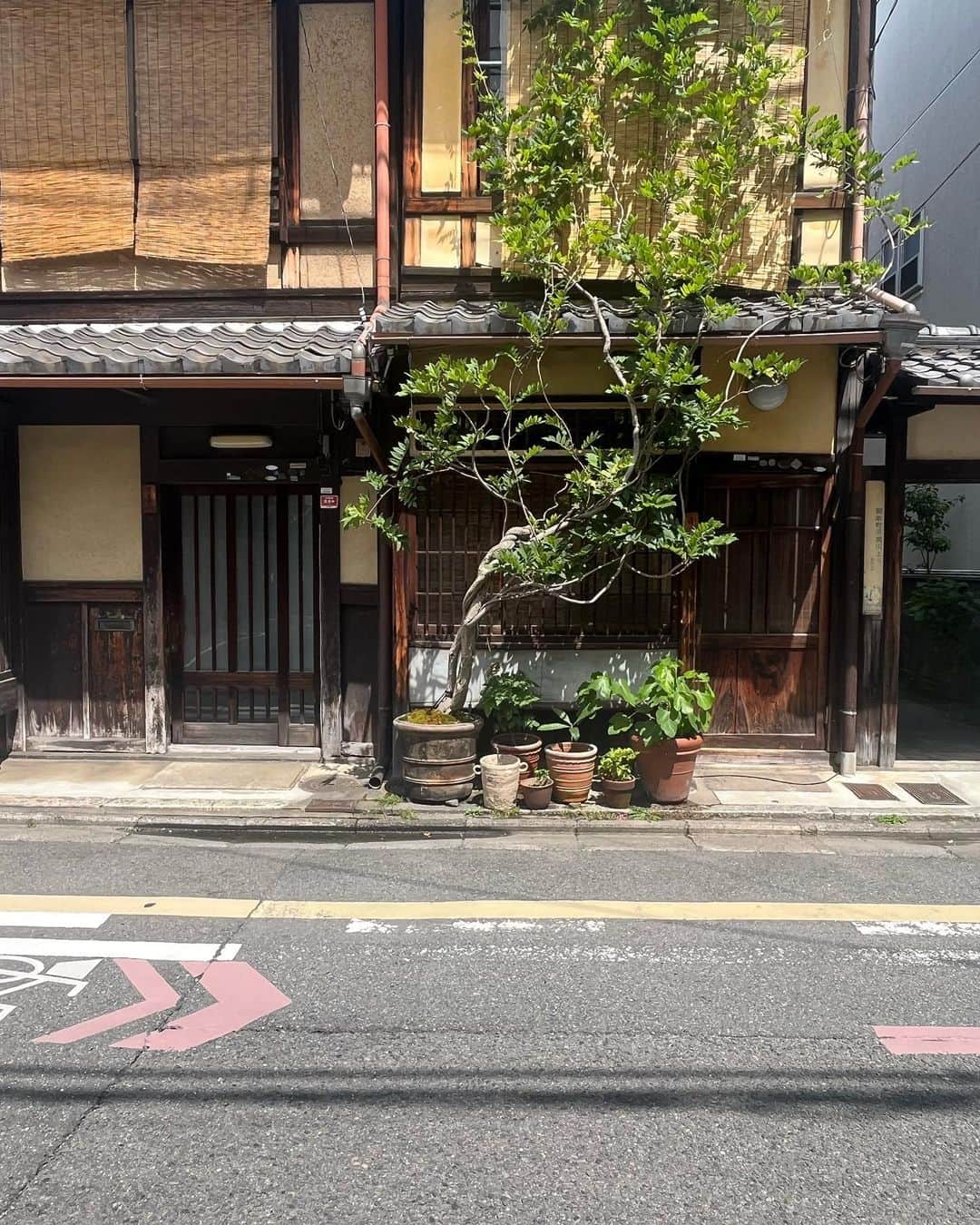 福本敦子さんのインスタグラム写真 - (福本敦子Instagram)「今日更新のpodcast〝福本敦子のきくこすめ〟で京都のお気に入りの話をしているのでぜひ聴いてください😘今年に入ってから京都に毎月少しずつ行っています。私の身体と京都の土地、が異様にバイブスが合っており（また変わるのかもだけど）元気になれるし、自然をチャージするのにちょうど良くて、何より偶然が起こりやすいから面白くて大好きな場所です。最近は貴船の山に行くのが好き⛰️貴船の澄み切った空気の中で食べるいちご最中を想像してみて…！パリパリパリ、って音も心なしか山の空気に響いております🍓こういう場所に行ってから自分の生活に戻るとふと、あれ、流れが良くなってるなと思うことがあったりするのですがもしかして 貴船の水の神様の力で色々洗い流してくれたのでは、、、！とかpodcastで話してます🚰聴いてね！ . そして今は計画してなかったけどロンドンにいるので、その話もまた書きますね⭐️計画以外のことが人生に起こる方が私は好きなんだよな！ Amazon、スポーティファイなどで聴けます🩵」6月12日 16時34分 - uoza_26