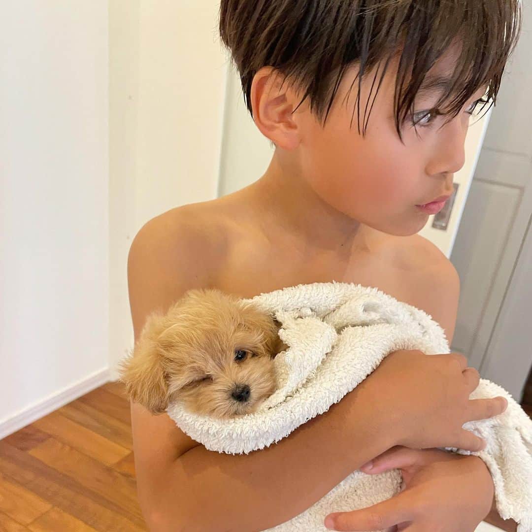 かなさんのインスタグラム写真 - (かなInstagram)「． はじめまして🧸🎀 マルプーのおもちちゃんです🤍🍼 ． 我が家に来た久しぶりの赤ちゃんに もう家族みんなでメロメロ🥹🩷🩷🩷 かわいくてかわいくてたまらない。。😭#親バカ ． 新しい家族が増えた我が家を よろしくお願いします🐶💕 ． ． #マルプー#チワワ#マルチーズ#トイプードル#mix犬#말티푸#멍스타그램#강아지#maltipoo#puppy」6月12日 17時04分 - kana_s0130