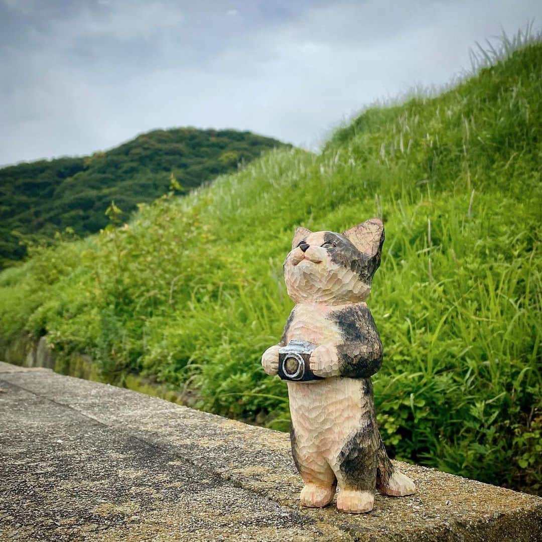花房さくらさんのインスタグラム写真 - (花房さくらInstagram)「むむむ…まだ雨は続くのか……  #猫は時として旅をする  #cat #sculpture #hanafusasakura」6月12日 17時13分 - sakura_hanafusa
