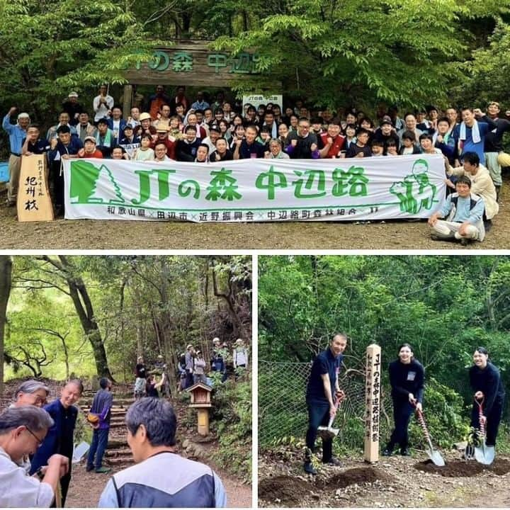 きいちゃんさんのインスタグラム写真 - (きいちゃんInstagram)「【知事活動報告】 「JTの森中辺路」の森林保全活動。2005年から活動が始まり、これまで21万本の植樹をしていただきました。 JTの社員、ご家族約70名が参加。 女子バレーのJTマーヴェラスの選手の皆さんと真砂充敏田辺市長、中辺路町森林組合の岡上哲三組合長と一緒に記念植樹。 森林浴で身も心もリフレッシュしました。  #和歌山県 #JT #田辺市 #中辺路町 #森林組合 #森林保全活動」6月12日 17時33分 - wakayamapref_pr