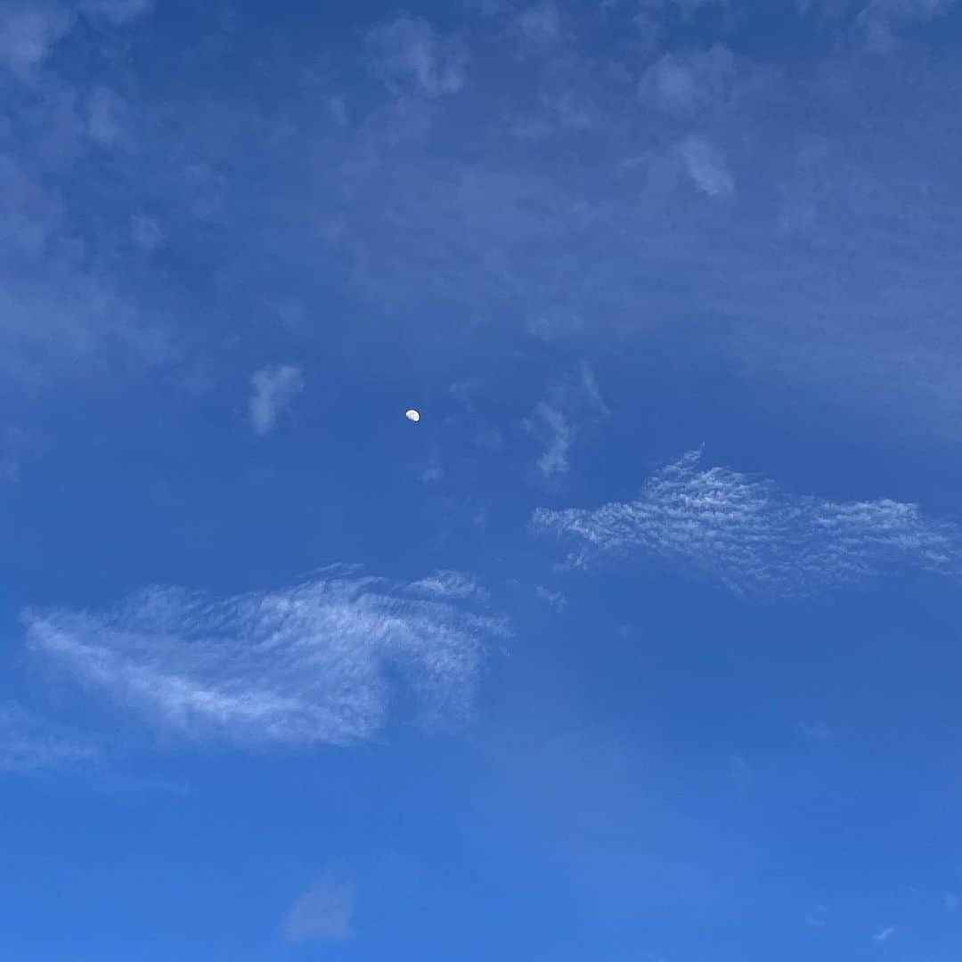 のインスタグラム：「𓅮𓈒𓂂⠜⁎✴︎  羽生えましたｯ( ⁰̷̴͈ ֊ ⁰̷̴͈ )」