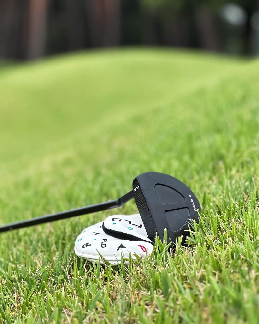 時任勇気のインスタグラム：「my putter ⛳️」