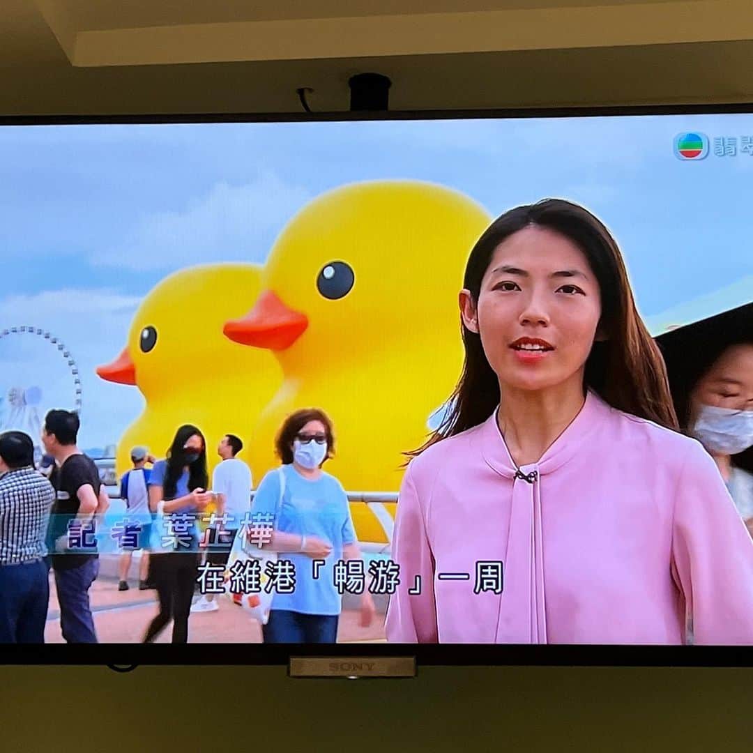 森井ユカさんのインスタグラム写真 (森井ユカInstagram)「4年ぶり香港🇭🇰その他。 10年前に香港のビクトリア・ハーバーに出現した
