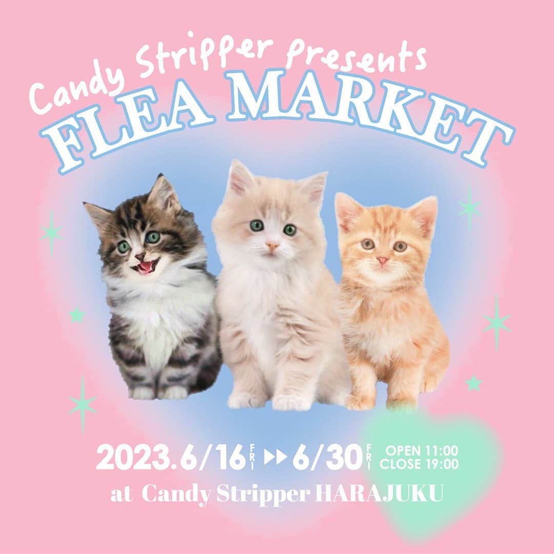 板橋よしえのインスタグラム：「. 数年ぶりに！原宿本店でフリーマーケットが開催されます☺️🩷🩵 お名前を公表したフリーマーケットだとなかなか気軽に参加出来ない方々が秘かに参加してくれています🙊💭 いろんなタイプのお洋服がたくさん！！ ￥500~￥5000のお洋服が多めです。 気軽にのぞきに来てくださいね🩷🩵  ℂ𝕒𝕟𝕕𝕪 𝕊𝕥𝕣𝕚𝕡𝕡𝕖𝕣 𝕡𝕣𝕖𝕤𝕖𝕟𝕥𝕤 𝔽𝕃𝔼𝔸 𝕄𝔸ℝ𝕂𝔼𝕋 𝟮𝟬𝟮𝟯.𝟲/𝟭𝟲(𝗙𝗥𝗜)〜𝟲/𝟯𝟬(𝗙𝗥𝗜)ㅤ 𝟭𝟭:𝟬𝟬～𝟭𝟵:𝟬𝟬ㅤ 𝗖𝗮𝗻𝗱𝘆 𝗦𝘁𝗿𝗶𝗽𝗽𝗲𝗿 𝗛𝗔𝗥𝗔𝗝𝗨𝗞𝗨  Candy Stripperと親交のあるモデルや 女優、スタイリストなど豪華出品者が参加！ Candy Stripperのアイテム以外にも 話題のブランドや貴重なヴィンテージアイテムが並びます。 ぜひこの機会にお越しください。 スタッフ一同お待ちしております。   ♥場所 Candy Stripper 原宿本店 東京都渋谷区神宮前4-26-27 1F  ♥アクセス JR原宿駅（表参道口）より徒歩7分 東京メトロ 千代田線・副都心線 明治神宮前駅（5番出口）より徒歩3分 東京メトロ 千代田線 銀座線 半蔵門線 表参道駅(A2出口）より徒歩7分  ※お持ち帰りの際のお買い物袋はご持参いただくようお願いいたします。 ※上記期間中でも、商品がなくなり次第開催終了する場合がございます。」