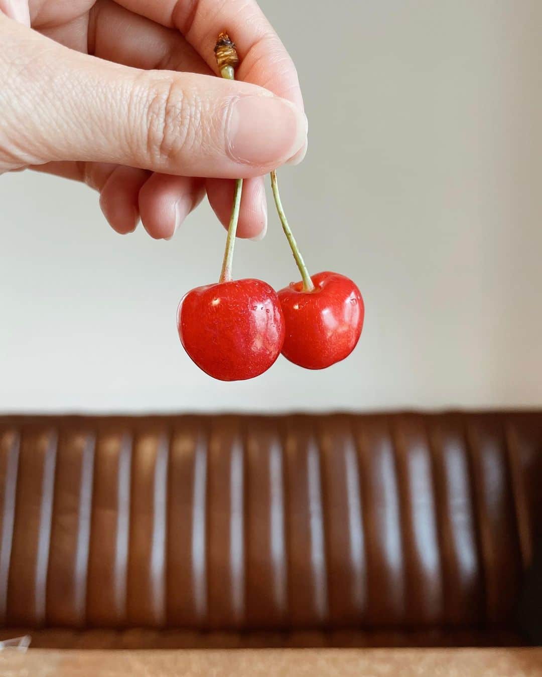 若林翔子のインスタグラム：「. . 山形のさくらんぼ🍒 差し入れで頂きました♡  真っ赤で甘くて少し酸味があって… ぷちっと弾けた時の食感がたまらない🤭  あーーーまたこの季節がやってきてくれた！ まじでまじでまじで大好きなんです🍒  えいじさーんありがとうございました☺️✨  #山形　#さくらんぼ #楽天戦　#差し入れ」