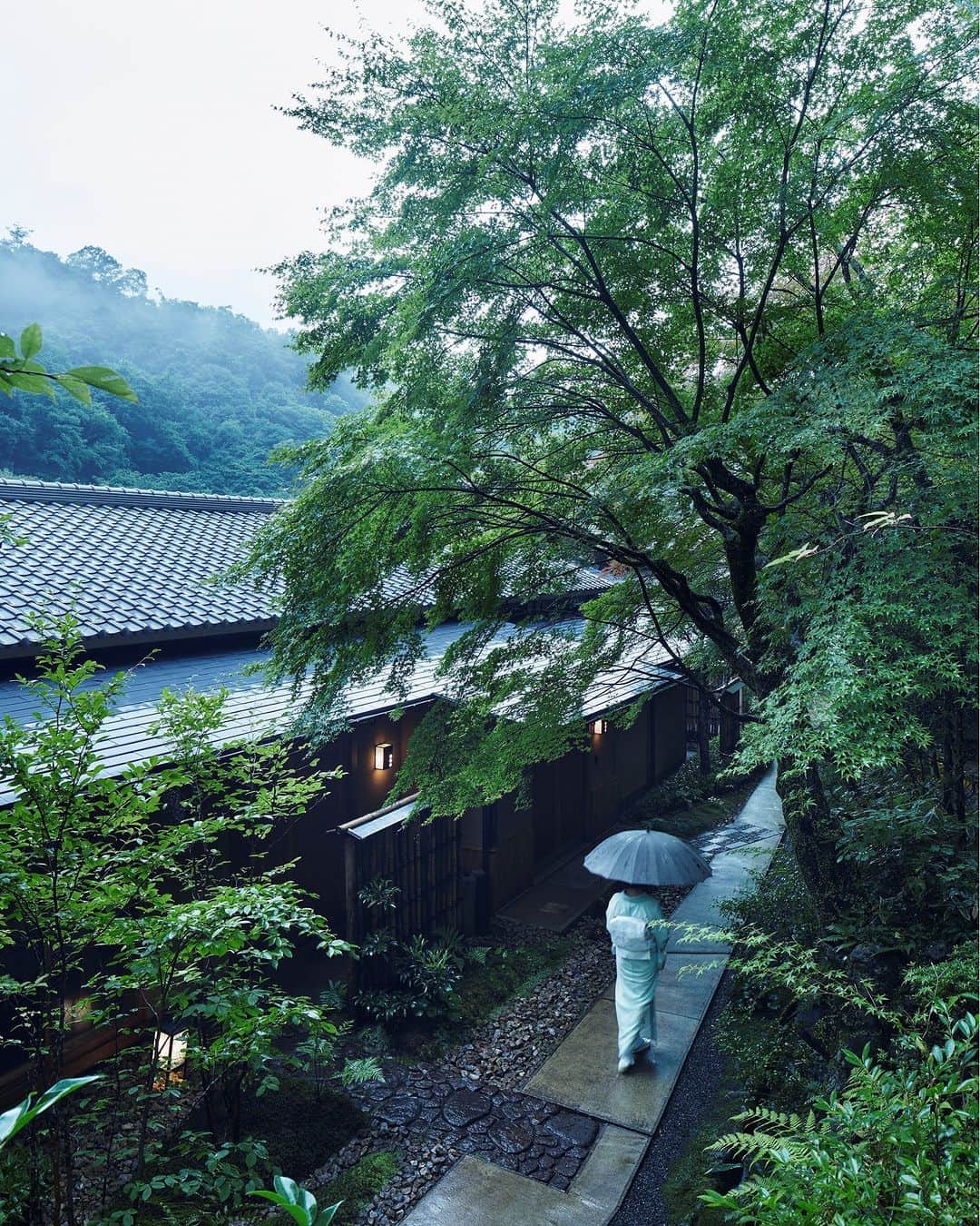 星野リゾートさんのインスタグラム写真 - (星野リゾートInstagram)「【奥嵐山で雨を楽しむ☔】 📍星のや京都 - HOSHINOYA Kyoto  庭石は雨水が染みて輝き、苔や青もみじの色も鮮やかな緑に。渓谷に立ち上がる霧に包まれた神秘的な嵐山は、雨の日だからこそ見られる情景です。  #HoshinoResorts #星野リゾート #hoshinoya #星のや #リゾートホテル #ご褒美旅行 #hoshinoyaKyoto #星のや京都 #京都 #嵐山 #京都ホテル #京都旅館 #京都旅行 #kyototrip #おこもり宿 #雨」6月12日 19時00分 - hoshinoresorts.official