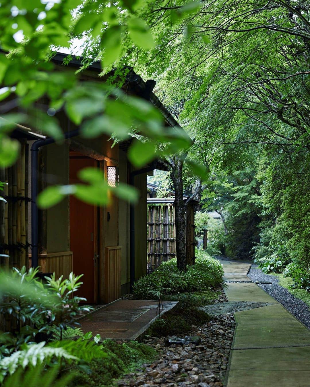 星野リゾートさんのインスタグラム写真 - (星野リゾートInstagram)「【奥嵐山で雨を楽しむ☔】 📍星のや京都 - HOSHINOYA Kyoto  庭石は雨水が染みて輝き、苔や青もみじの色も鮮やかな緑に。渓谷に立ち上がる霧に包まれた神秘的な嵐山は、雨の日だからこそ見られる情景です。  #HoshinoResorts #星野リゾート #hoshinoya #星のや #リゾートホテル #ご褒美旅行 #hoshinoyaKyoto #星のや京都 #京都 #嵐山 #京都ホテル #京都旅館 #京都旅行 #kyototrip #おこもり宿 #雨」6月12日 19時00分 - hoshinoresorts.official