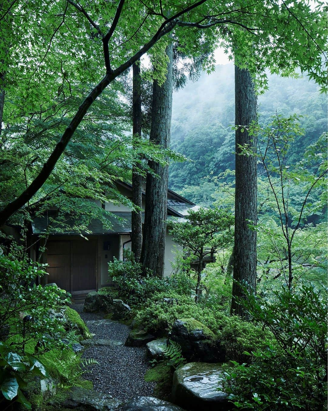 星野リゾートさんのインスタグラム写真 - (星野リゾートInstagram)「【奥嵐山で雨を楽しむ☔】 📍星のや京都 - HOSHINOYA Kyoto  庭石は雨水が染みて輝き、苔や青もみじの色も鮮やかな緑に。渓谷に立ち上がる霧に包まれた神秘的な嵐山は、雨の日だからこそ見られる情景です。  #HoshinoResorts #星野リゾート #hoshinoya #星のや #リゾートホテル #ご褒美旅行 #hoshinoyaKyoto #星のや京都 #京都 #嵐山 #京都ホテル #京都旅館 #京都旅行 #kyototrip #おこもり宿 #雨」6月12日 19時00分 - hoshinoresorts.official