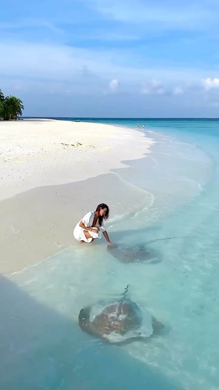 Maldivesのインスタグラム