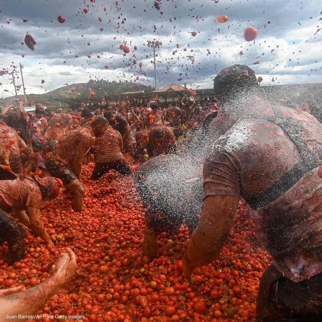 ABC Newsさんのインスタグラム写真 - (ABC NewsInstagram)「People in Colombia take part in the tenth annual Tomato Fight Festival—also known as "Tomatina." It's the first festival held since pandemic restrictions were lifted.」6月13日 6時30分 - abcnews