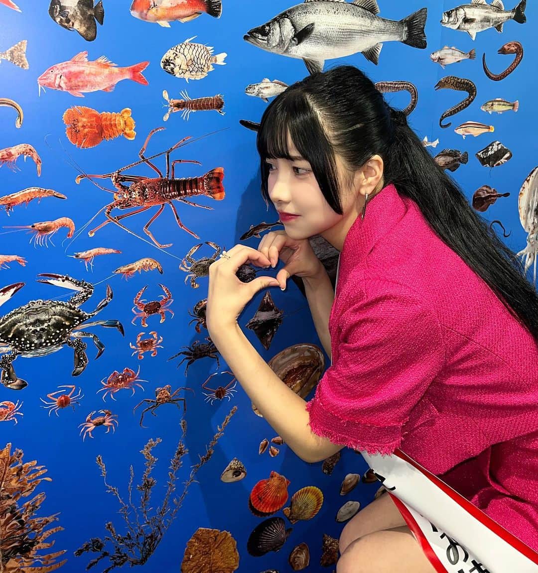 えみ姉さんのインスタグラム写真 - (えみ姉Instagram)「ㅤ なんとこの度 大分県の"佐伯市ふるさと応援大使"に 就任させて頂きました🐟♡ (大好きなエビを意識した気合い入ったピンク衣装🦐笑) ㅤ ㅤ ㅤ大人になってもレンタカー借りて 遊びに行くほど大好きな佐伯市やけん ほんっっっとに嬉しい🥹💕💕💕 ㅤ  出身は大分県大分市だけど 佐伯市は親戚が多く住む場所だから幼少期から 第二の故郷として多く訪れてきた大好きな市です🐟 ㅤ おじいちゃん家に遊びにいくたびに 海の潮の香りと、 いつも釣ったばかりのお魚を食べさせてくれてた そんな幼少期がとっても懐かしい🥲♡♡  ㅤ 佐伯市はとにかく"魚介類の宝庫" ㅤ 佐伯市でとれた新鮮で美味しい魚介類が ありえない安値で頂けるの。 ㅤ 大分に住んでた時は当たり前だったけど 県外に住み始めて 改めて地元の食材の豊富さや魅力に たくさん気づきました🐟 ㅤ 全国に発信して もっと魅力を知ってほしい！ 美味しいものや自然に触れに佐伯市に遊びにきてほしい。 ㅤ ふるさと納税でも佐伯市の美味しいグルメ 味わえるからおすすめも発信していくうう🫶🏻 ㅤ 私のSNSを通して 大好きな地元大分の魅力をたくさん 発信させてね♡♡♡♡ ㅤ 自分が大人になり 大好きな地元をこうやって応援することができて とても光栄で嬉しいです🥺♡♡♡ ㅤ これから楽しみにしててな🥹 美味しいお魚たべに遊びにきて〜〜〜！ ㅤ ㅤ ㅤ #佐伯市 #大分県 #大分県グルメ #佐伯グルメ #魚介 #大分旅行 #大分 #大分グルメ #おおいたランチ #おおいた #大分観光 #佐伯 #寿司 #寿司ランチ #寿司屋 #塩湯 #海鮮丼 #塩湯の海鮮丼 #海 #海鮮」6月12日 21時42分 - emk_oooo