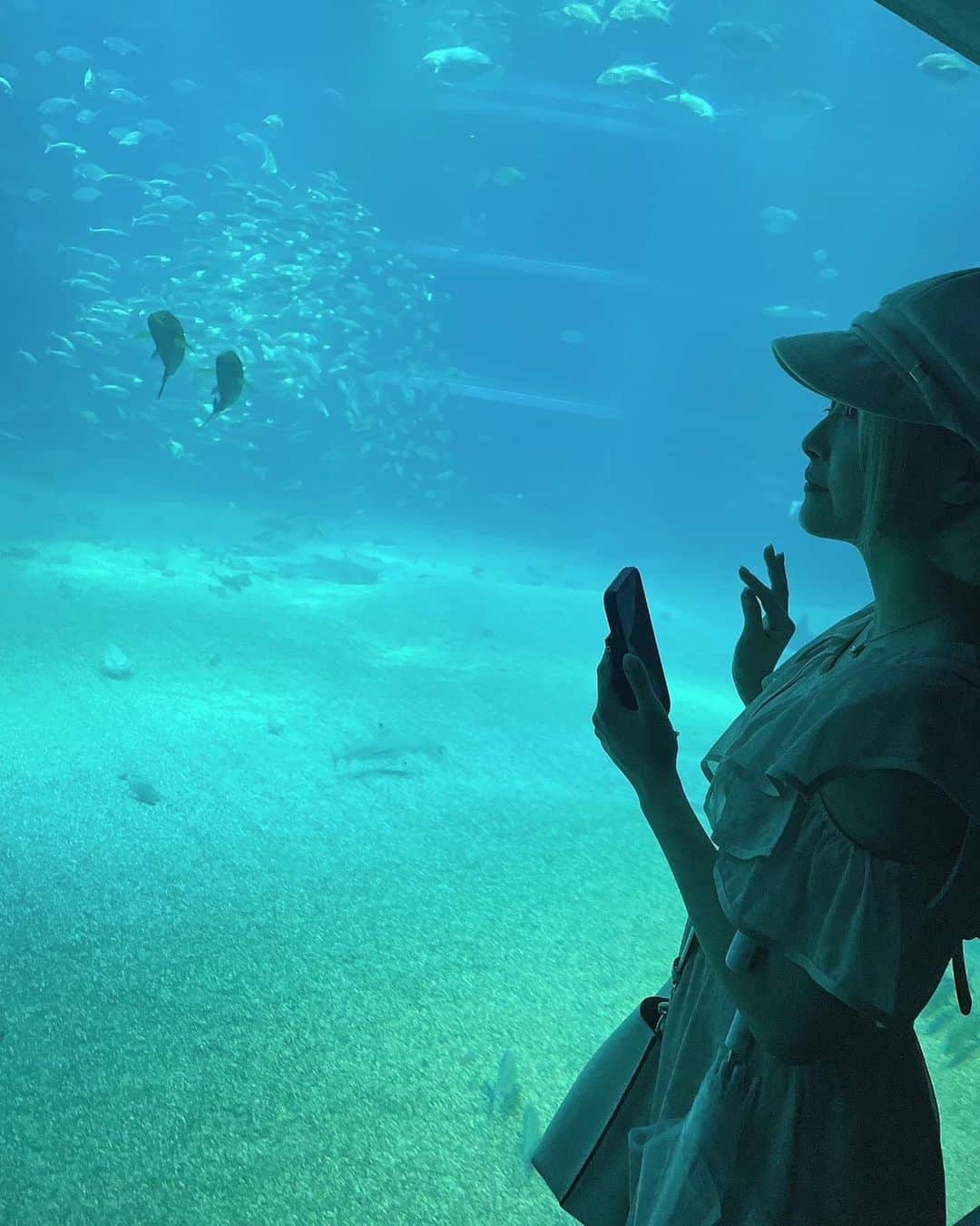 万喜なつみさんのインスタグラム写真 - (万喜なつみInstagram)「水族館って楽しいね🦈🫧  #海遊館 #プロレスラーの休日  #こんな彼女はどうですか  #natsupoi #なつぽい」6月12日 21時59分 - natsumi_poi