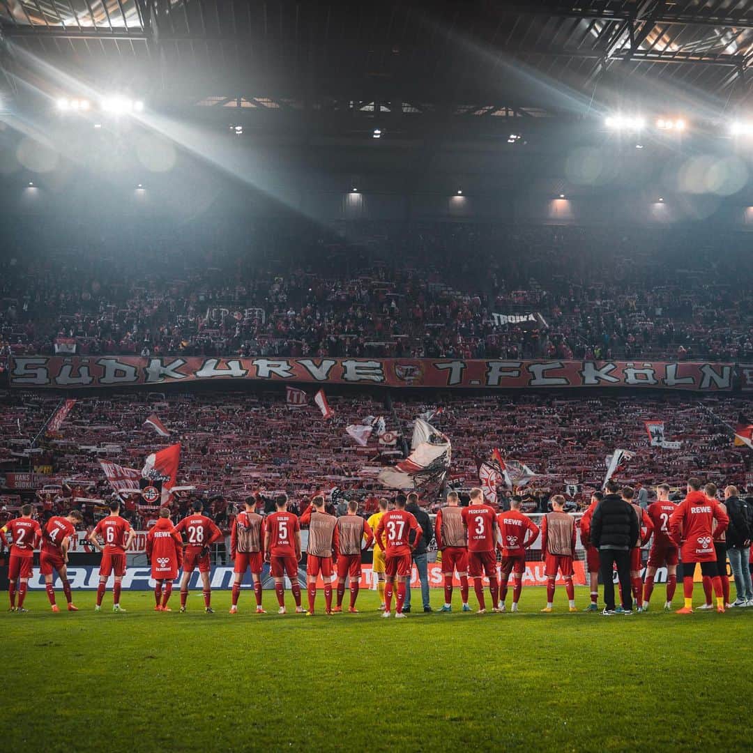 1.FCケルンのインスタグラム：「𝐳 𝐞 𝐬 𝐚 𝐦 𝐦 𝐞 🫶  Das Voting zum #effzeh-Spieler der Saison 2022/23 läuft noch. Stimmt ab für euren Favoriten! Link zum Voting ist in der Story ☝️」
