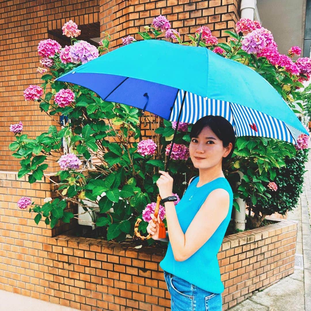リチのインスタグラム：「クロちゃんがオーダーメイドで作ってくれた傘🌂🌂✌️✌️梅雨さいこー！！  前にクロちゃんが番組のロケで、傘のオーダーメイドができるお店に行ったときにリチのために色、柄、持ち手をカスタマイズして選んでくれた！！大好きな青だしセンスいい！ちょーーかわいい。  📸 @kurochandesuwawa   #クロちゃん #bsjapanext  #高橋みなみのそこそこさんぽ #Tokyonoble #2k540 #御徒町 #オーダーメイド」