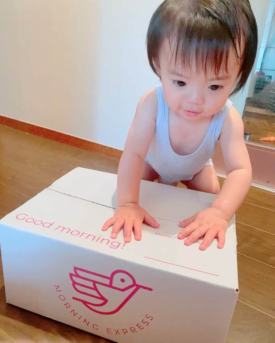 菅長愛子のインスタグラム：「🕊☀︎☀︎☀︎  食料品の早朝宅配サービス 「モーニング・エキスプレス」 @morning_express さんの体験セットを試させてもらいました🍞🍅  東京都目黒区・渋谷区の全域と、世田谷区・品川区の一部エリアで「食料品を夜10時までの注文で、翌朝7時までにお届け」してくれるとのことだったのだけど、、 7:00前に玄関前に置いてあったーー！(サンタさんがプレゼント届けてくれた感満載でした🎁)  箱の中を開けてみたら… 絶対食べるー！っていう食品がたくさん入っててビックリ！嬉しい🍞🍊🍳🥦  バタバタで買い物行けなかったり、雨で買い物ちょっとなぁ…という時とか、忙しいママさんや、夜までお仕事している方に嬉しいサービス🙌🏻  約3,000円相当のセットが980円で体験できるのはすごい👏🏻  \特別クーポンコード/ 『 insta500 』 決済カートで上のコードを入力すると、この投稿を見た方限定で500オフになりますのでぜひ使ってください🍒  #morningexpress  #早朝宅配体験セット  #朝ごはん #ワーキングママ #子育てママ #男の子ママ」