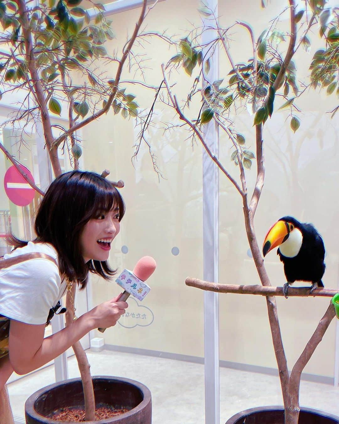 二宮芽生のインスタグラム：「今日も『キテルネ！』ご視聴ありがとうございました🦥  色んな動物を間近で観察できて、恐竜にも会えて、楽しいロケでした☺︎  人間と同じか、それ以上に、動物って個性豊かで特徴的だなって思った。  みんな同じ星で暮らしてるなんて不思議だよねぇー。  そして今回も、 @uratiayara  さん🕴️ このチュール、まずかわいいし、動物の目にも優しそうだし。 なんて思ってたら、OAではフクロウとリンクコーデみたいになっててミラクル🦉笑　  #イタル_デザイン」