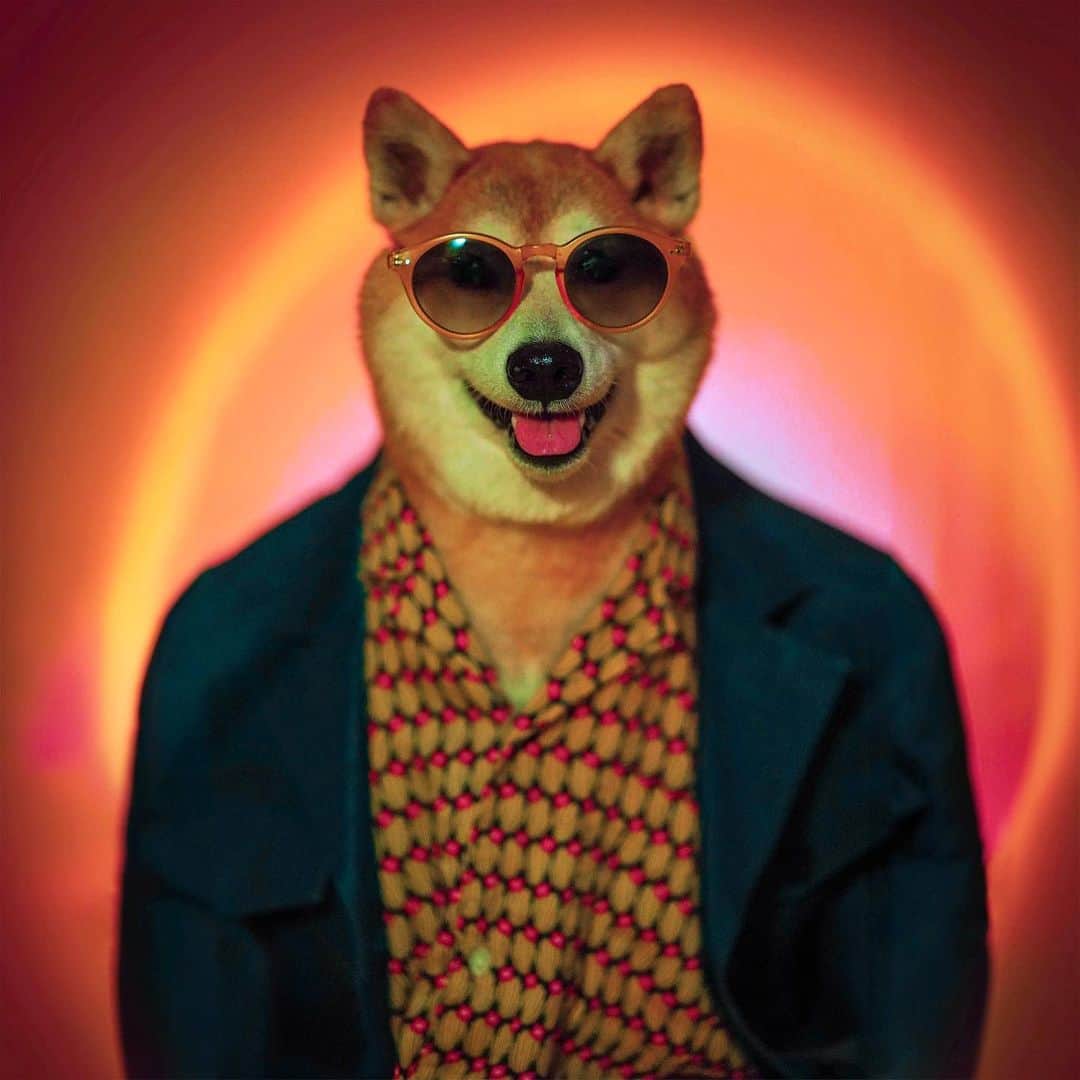 Menswear Dogのインスタグラム：「Oh Hi!   Peek the start of my mustache on slide 2 (also pls hype me up because I’m still self-conscious about it)  Ok that’s all folks- TYSM 😎🐾」