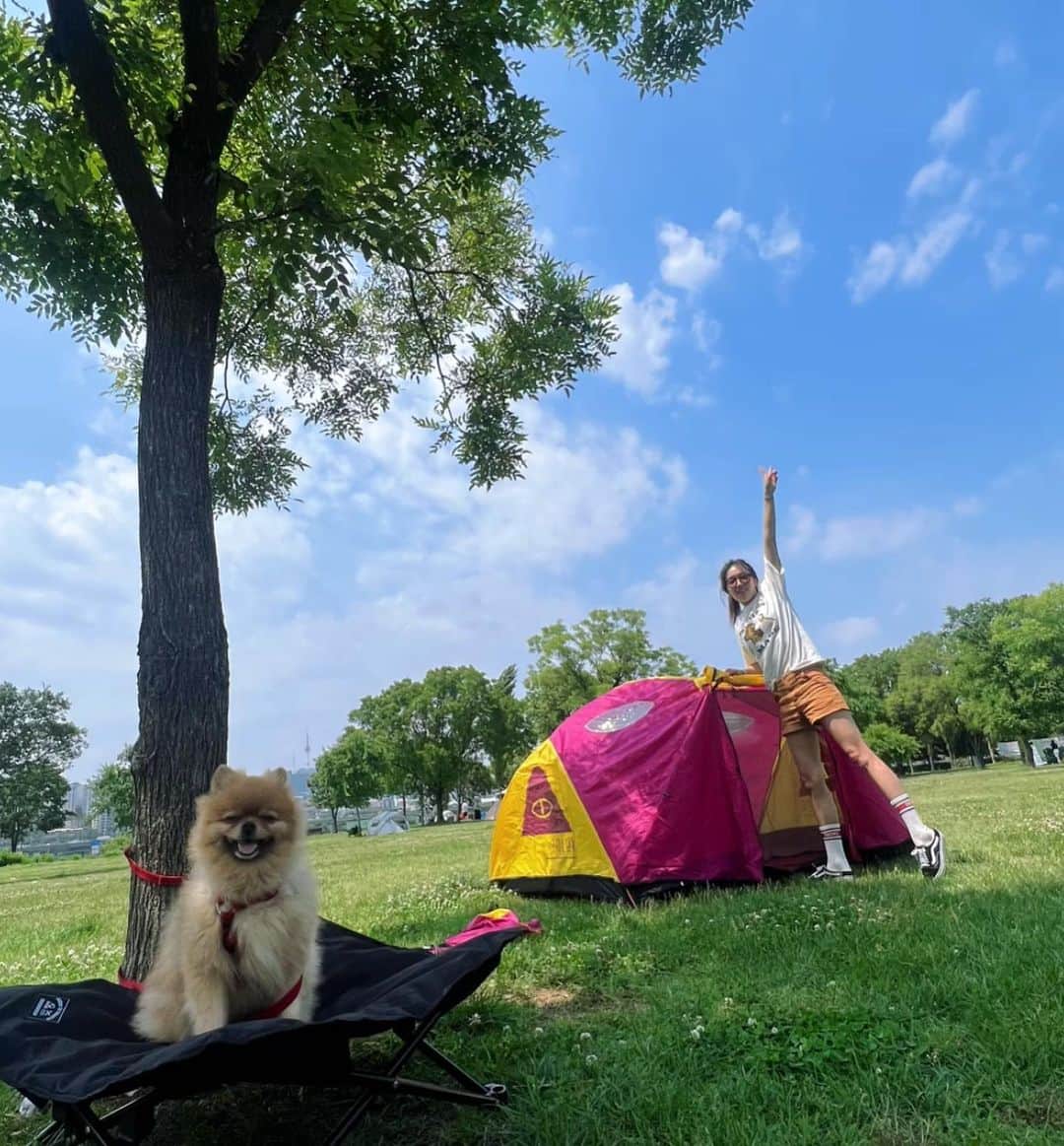 キム・ソラさんのインスタグラム写真 - (キム・ソラInstagram)「• 내집마련🏕️ 마루랑 캠크닉💕  #캠크닉 #camp #picnic」6月13日 0時10分 - sora.o_o